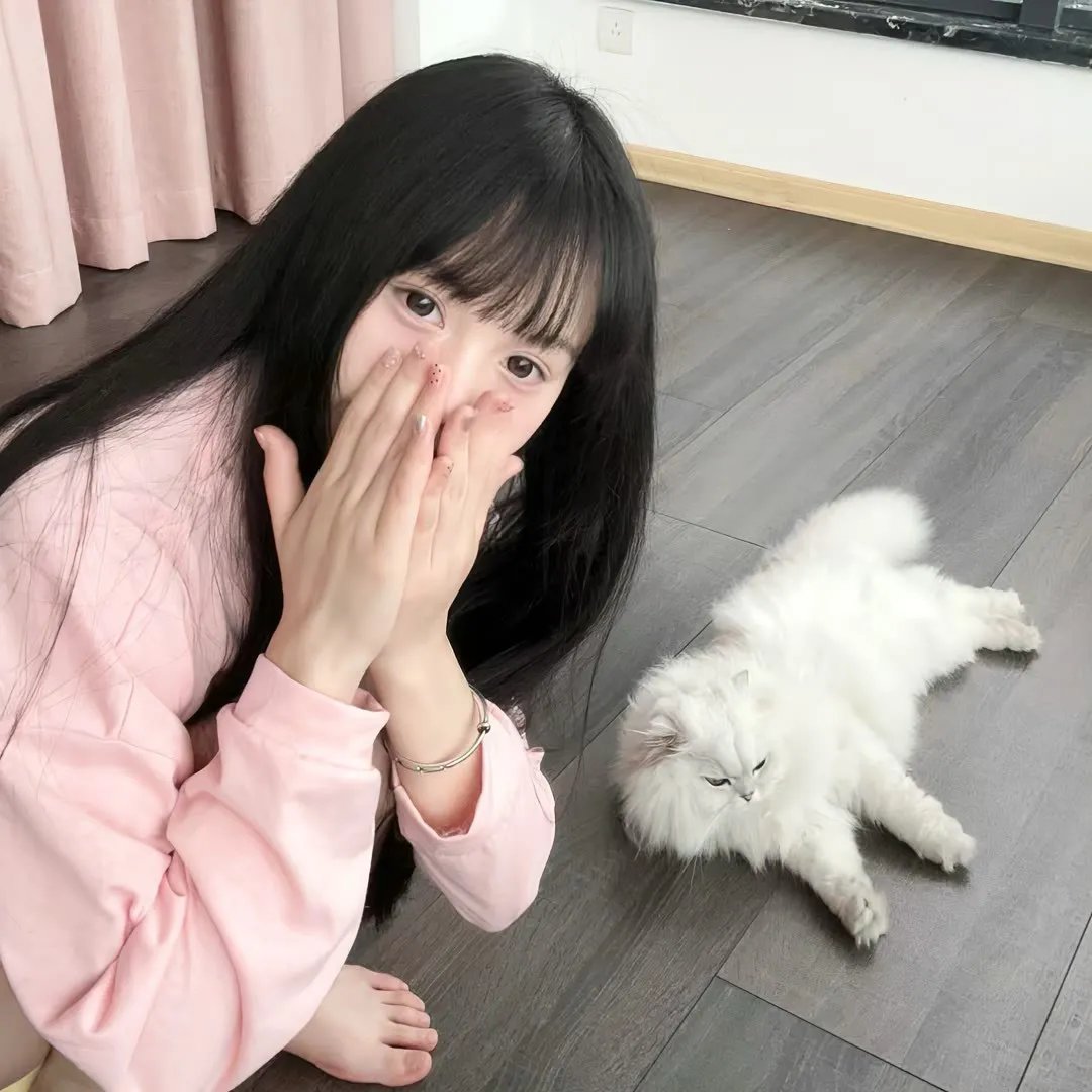 疯狂的麦咭第六季